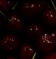 cherries